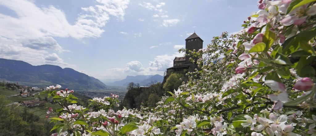 Hotel Zum Tiroler Adler Eksteriør bilde